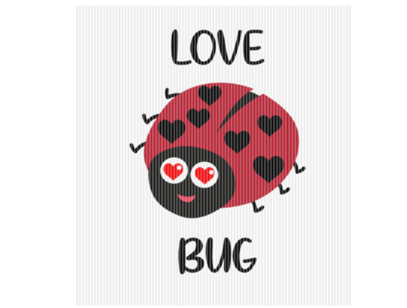 Reviewing the Love Bug Lady Bird Valentine Quote